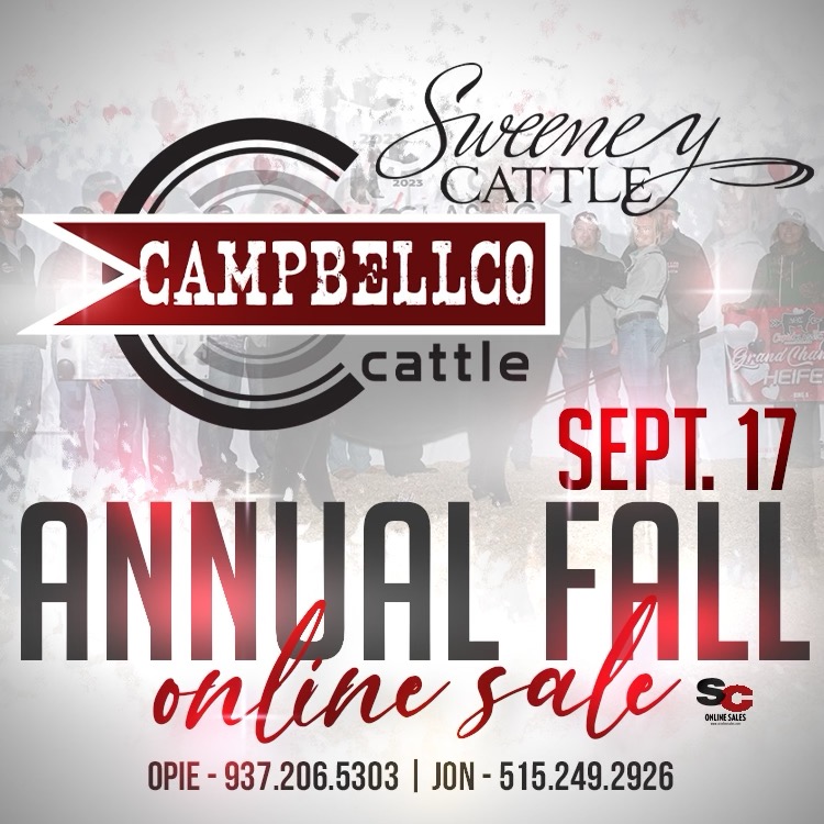 CampbellCo Annual Fall Online sale image
